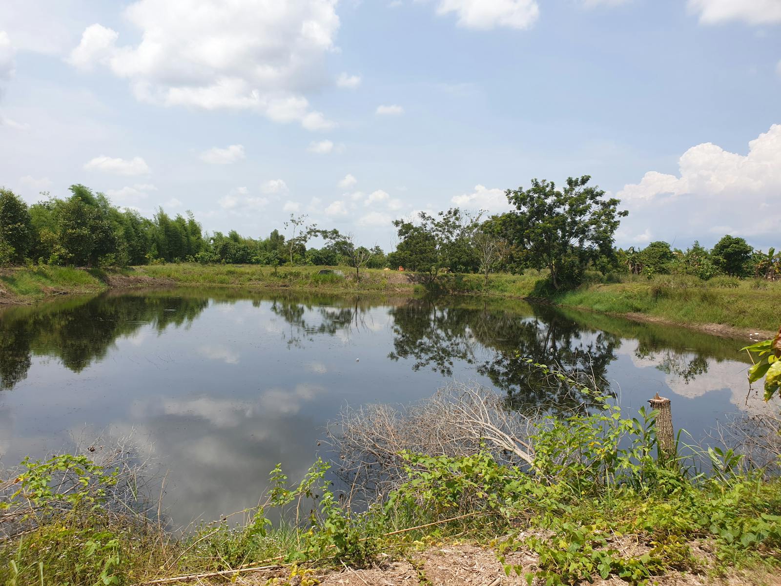 Data visualization on laptop screen related to streaming analytics