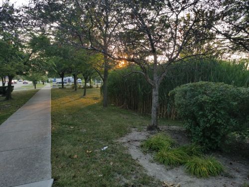 Free stock photo of suburban area Stock Photo
