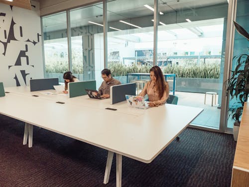 Free People Working at the Office Stock Photo