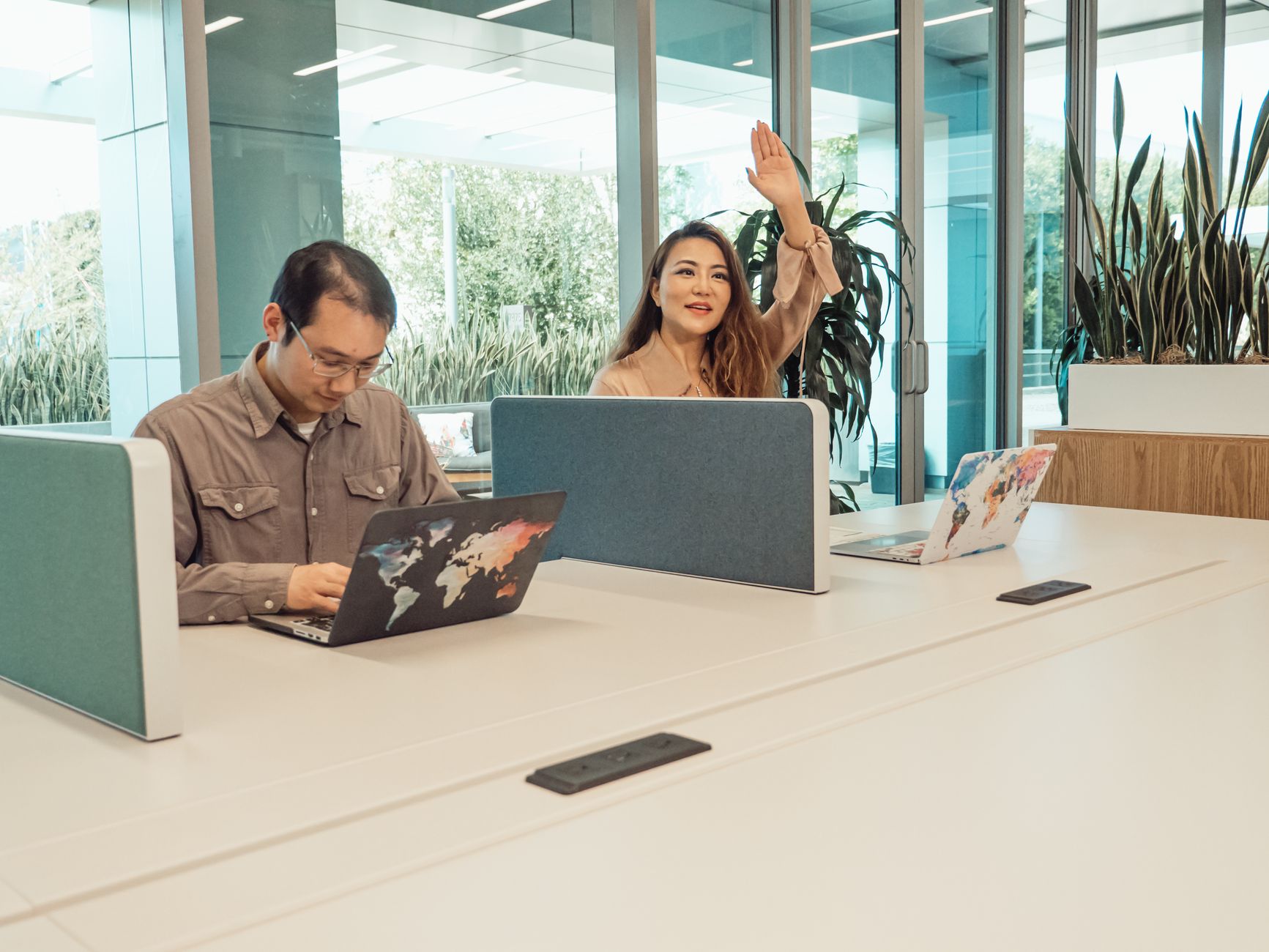 Two colleagues collaborating in a modern office setting equipped with laptops and plants.