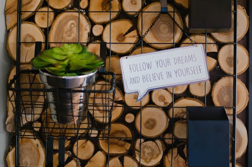 Plant in Basket, Wood Logs and Text