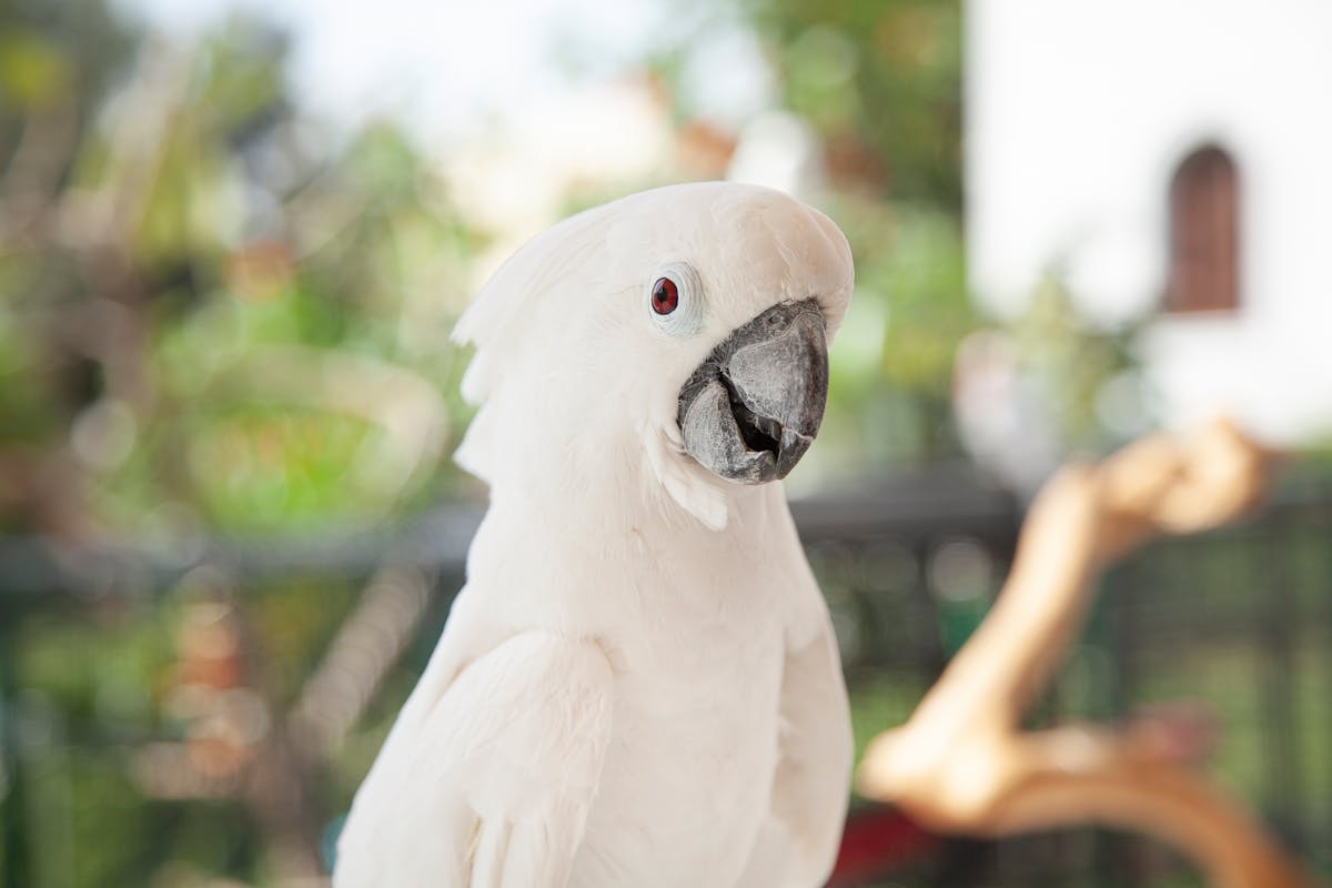 Close-up of an insulin pen-like injection device on a table