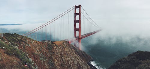 Free Landscape Photography of Red Cable Bridge Stock Photo