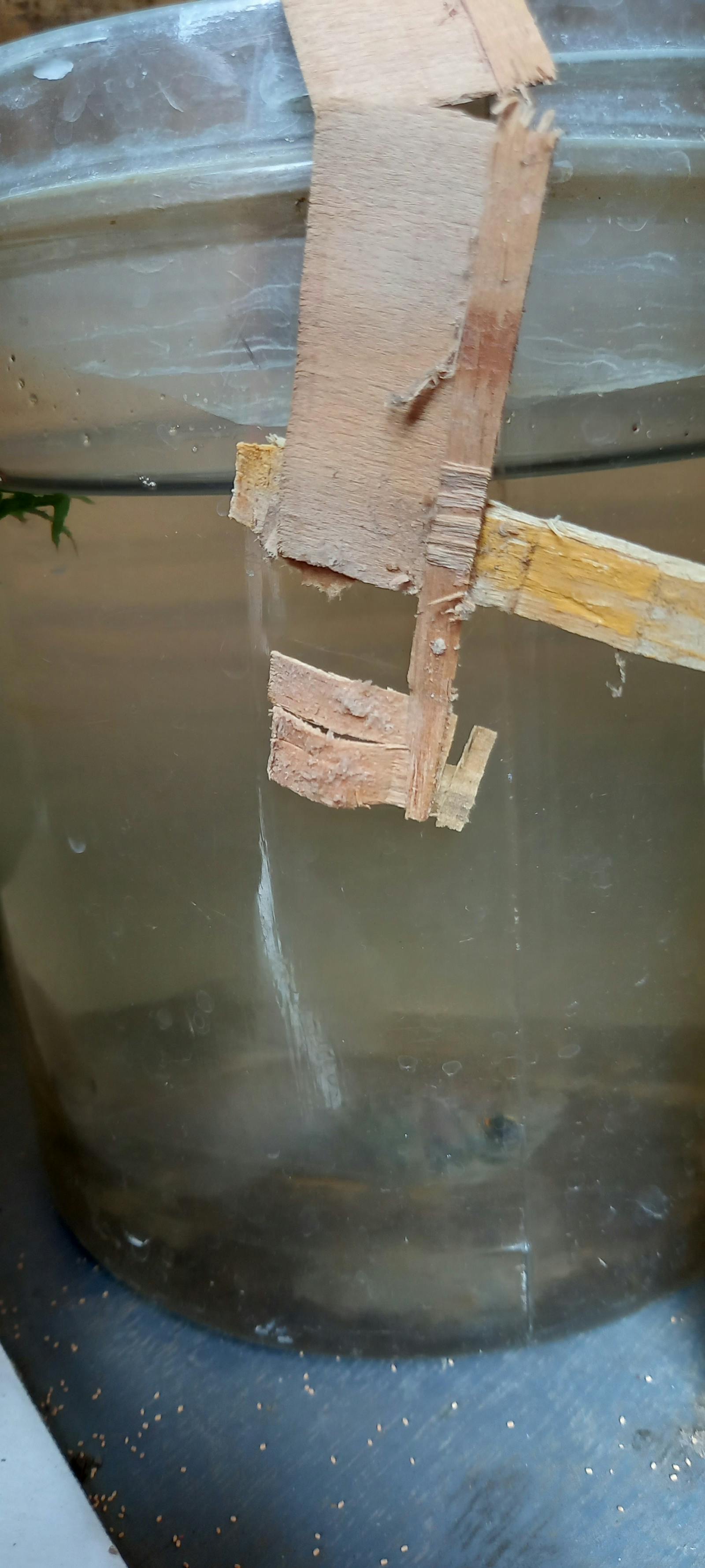 Infographic-style chart showing vaccination data being discussed