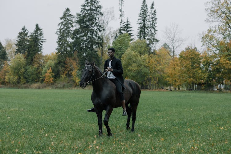 A Man Riding Black Horse On Green Grass 