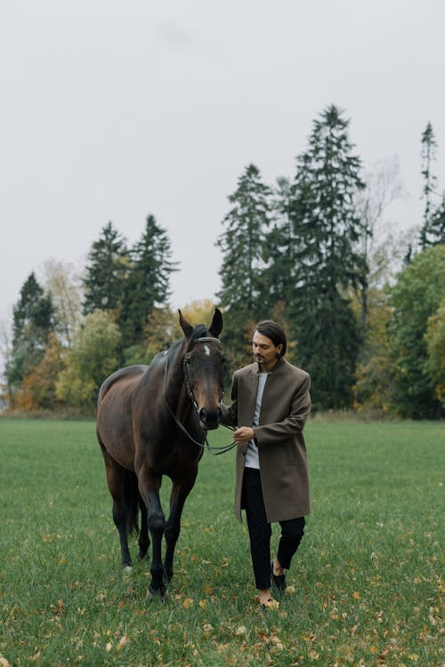 Elegant Man in a Coat Walking on a Meadow with a Horse