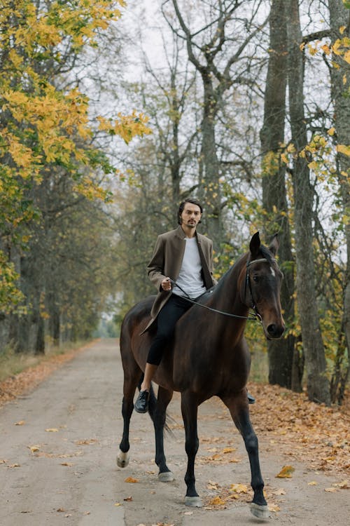 Fotobanka s bezplatnými fotkami na tému chovateľ koní, jazda na koni, kaukazský muž