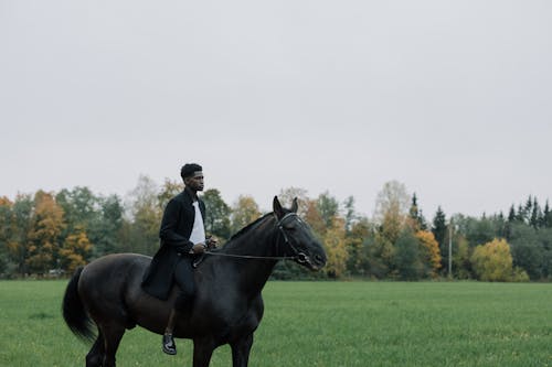無料 乗馬, 動物, 手綱の無料の写真素材 写真素材