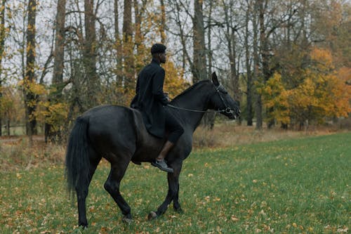 Free A Man Riding a Horse Stock Photo