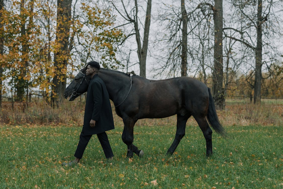 How Much Does It Cost to Trim Horse Hooves?