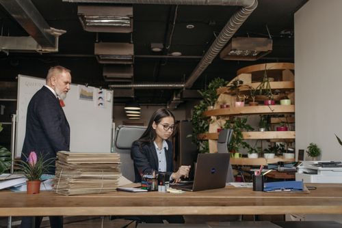 Free Business team in an office working together with modern equipment, plants, and documents. Stock Photo