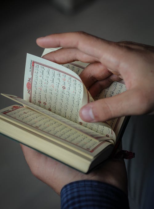 Free A Person Holding a Book Stock Photo