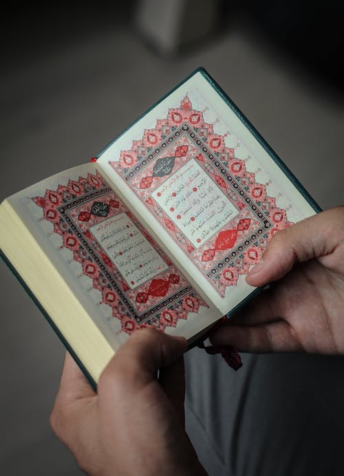 Free A Person Holding a Book Stock Photo