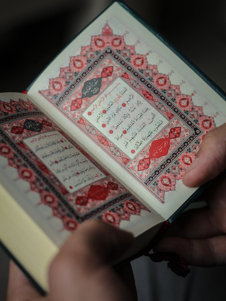 Crop Person Reading Colorful Red Pages Of Koran