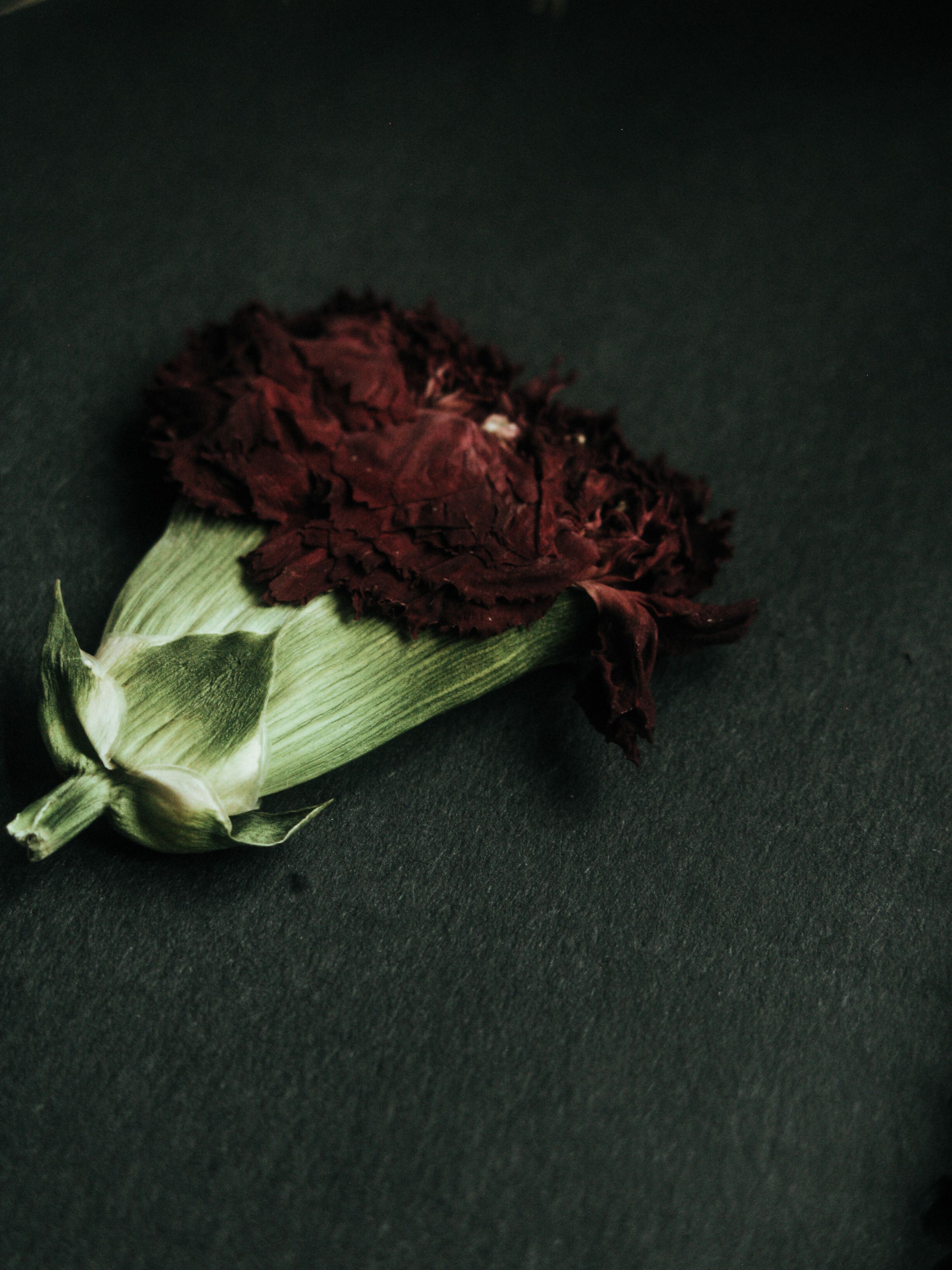 Subtle Warm Tones Photos, Download The BEST Free Subtle Warm Tones ...