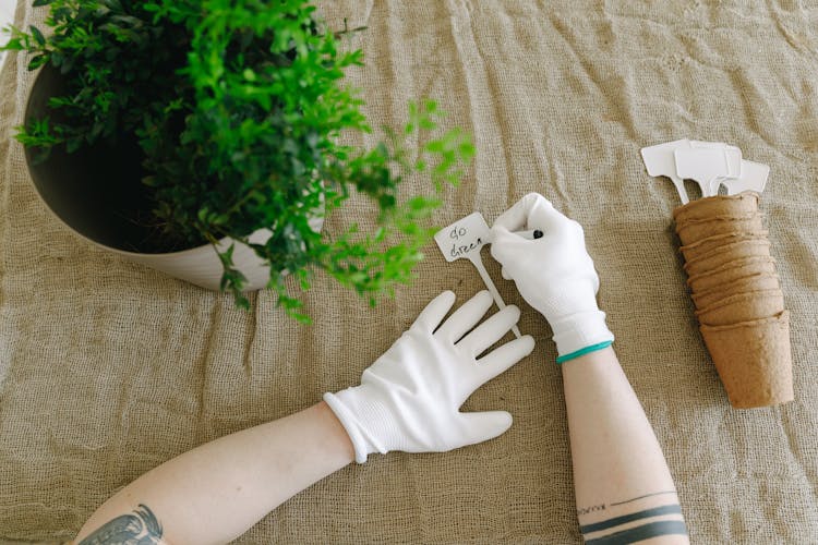 A Tattooed Person Writing On A Plant Label