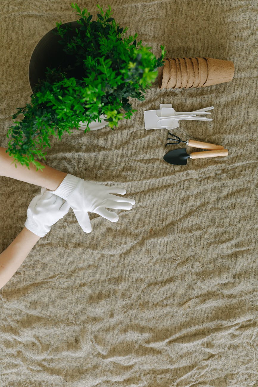 gardening tools for perennial division UK