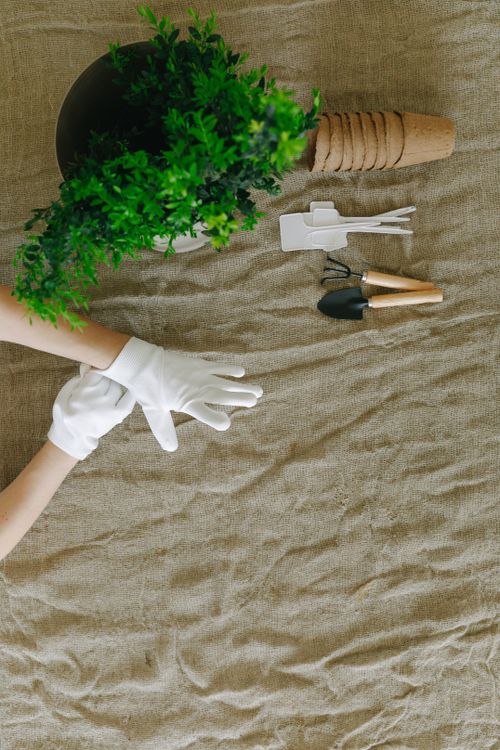 Free Top view of gardening tools and gloved hands on burlap, next to a potted plant. Stock Photo