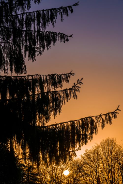 Free Silhouetted trees against a vibrant orange and purple sunset, conveying tranquility and natural beauty. Stock Photo