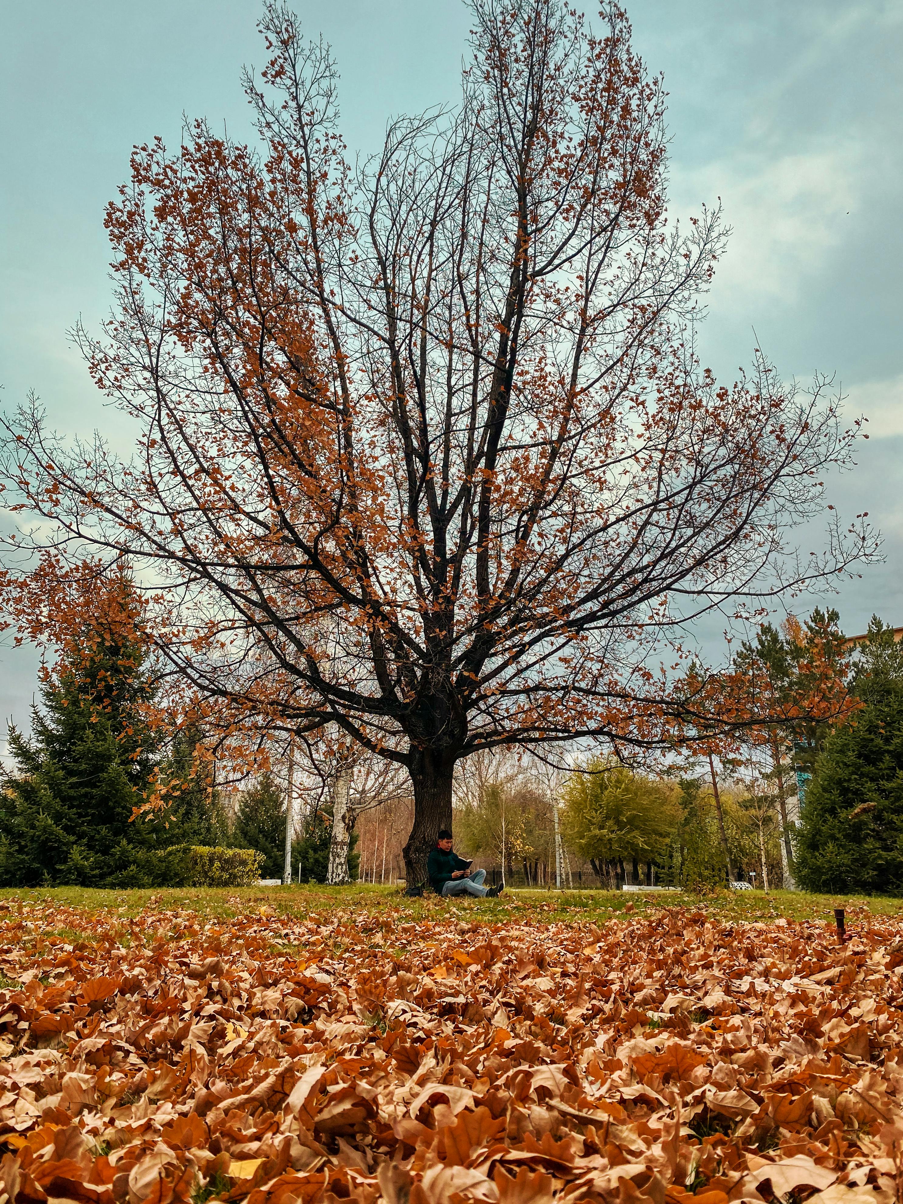 Regulatory Reporting and Audit Trails by landlordsuk