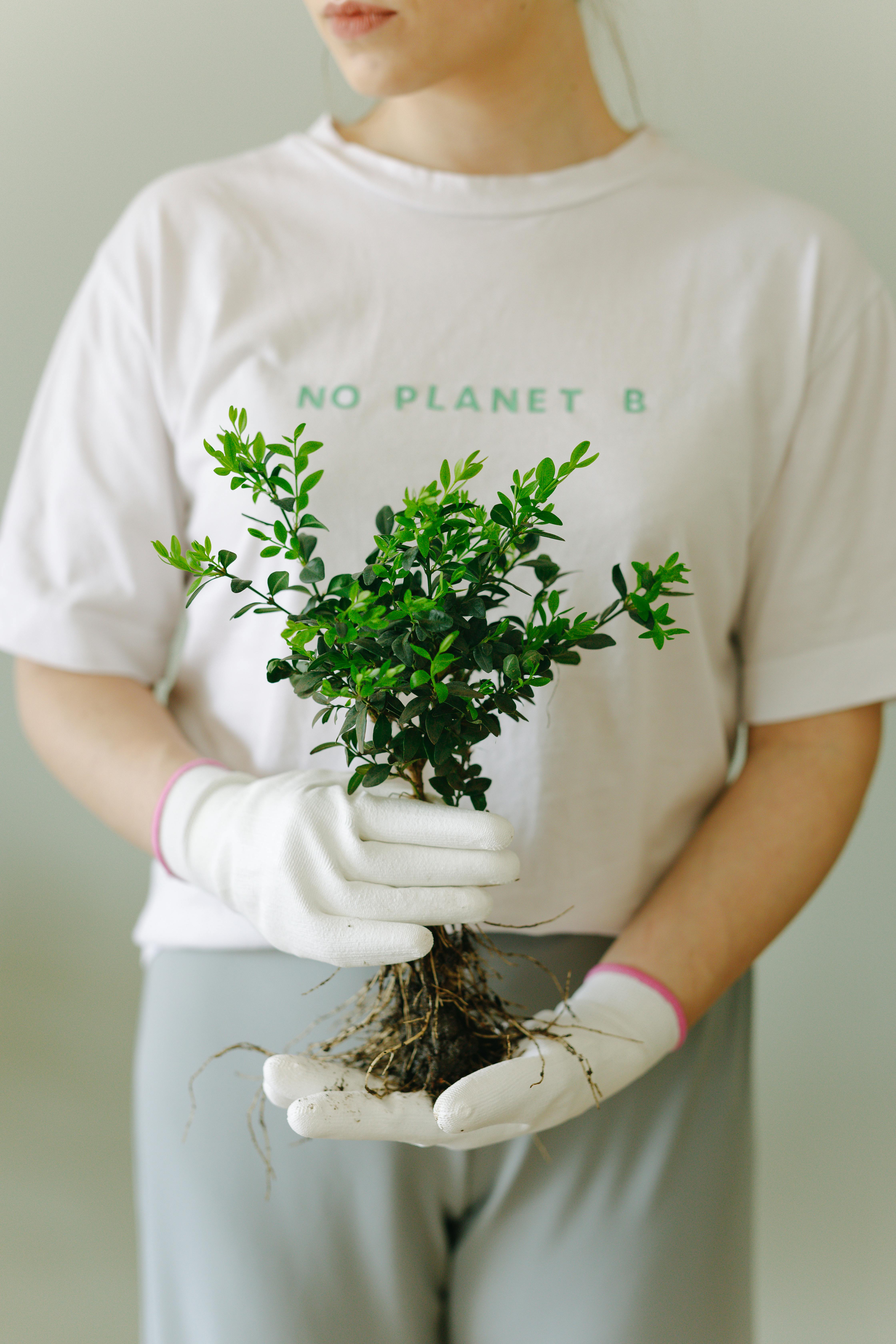 person in white crew neck t shirt wearing gloves while holding green plant