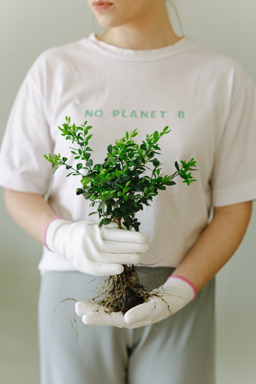 Free Person in White Crew Neck T-shirt Wearing Gloves while Holding Green Plant Stock Photo