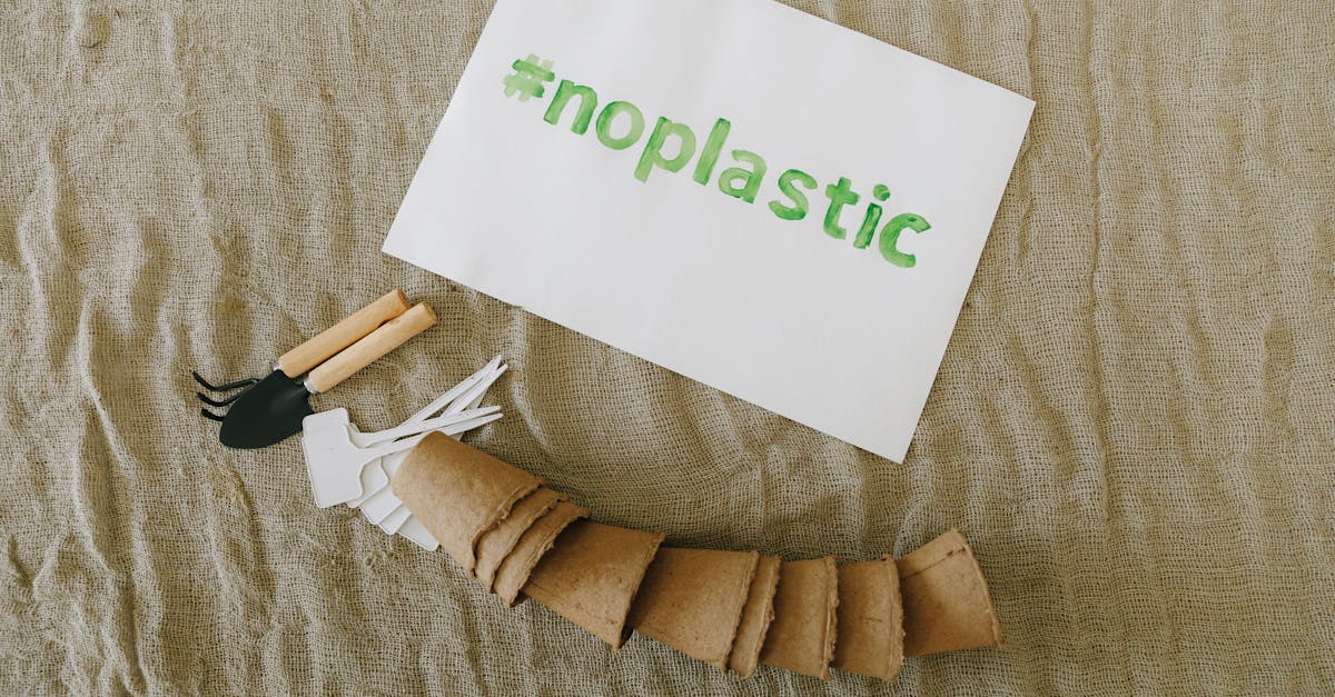 Notre avis sur les composteurs domestiques