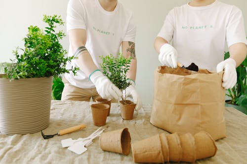 Δωρεάν στοκ φωτογραφιών με dia biljettpris 绿色 和平, green peace, γάντια