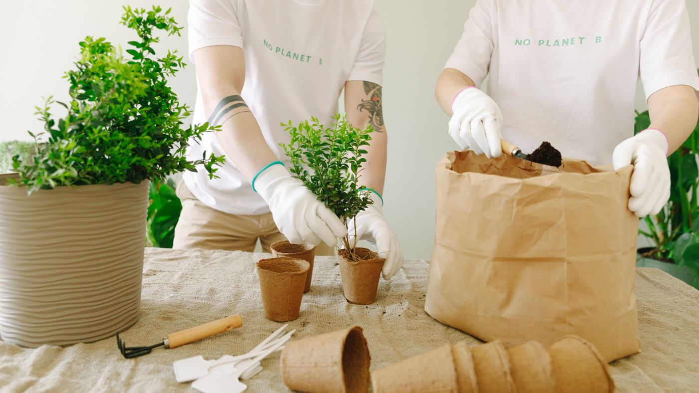 Starting a Compost Bin at Home: The Honest Beginner's Guide