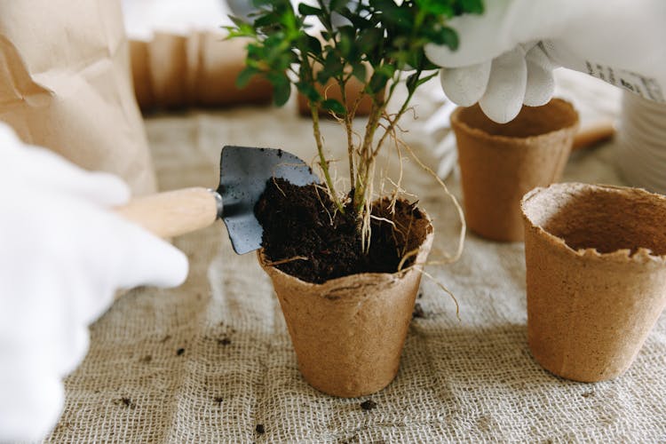 A Hand Putting Soil On A Brown Pot Using A Trowel