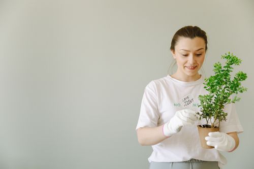 Free A woman in a white shirt and gloves holds a plant pot indoors, symbolizing planet conservation. Stock Photo