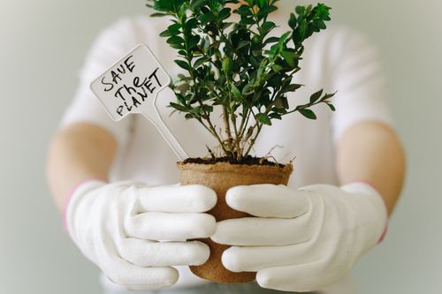 Free Close-up of hands in gloves holding a potted plant with 'Save the Planet' sign. Stock Photo