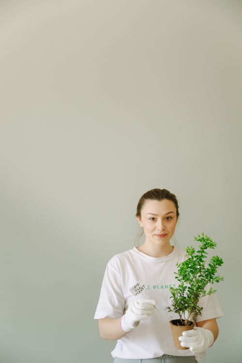 Free Woman wearing gloves holds a potted plant against a minimalist background promoting eco-conscious living. Stock Photo
