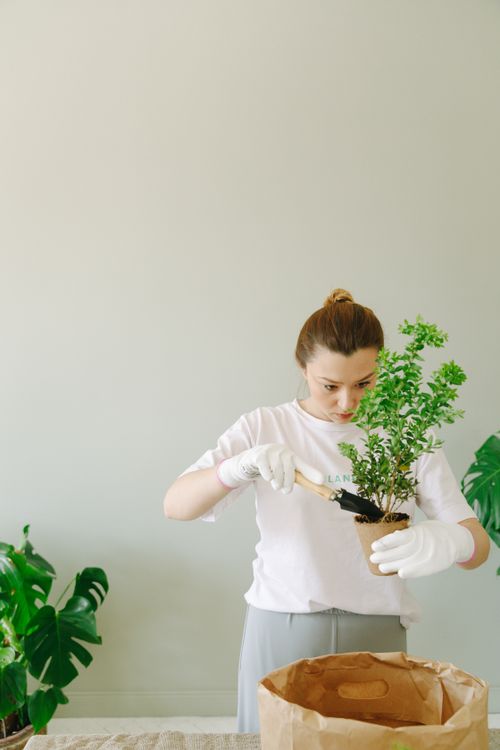 Free Woman planting a potted plant indoors using gloves and a trowel. Stock Photo