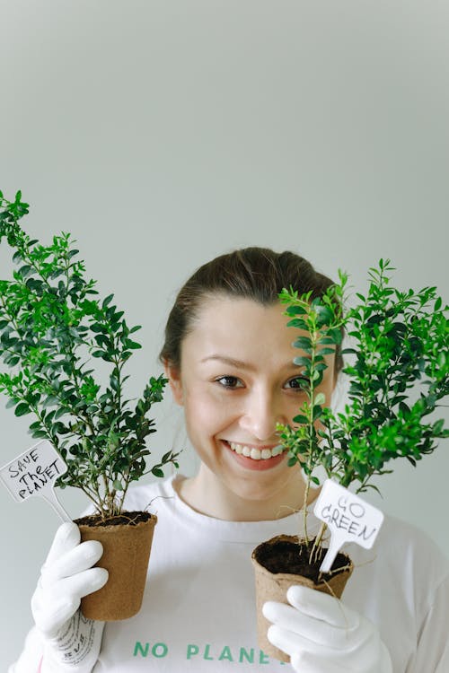 Ingyenes stockfotó cserepes növények, dia biljettpris 绿色 和平, függőleges lövés témában