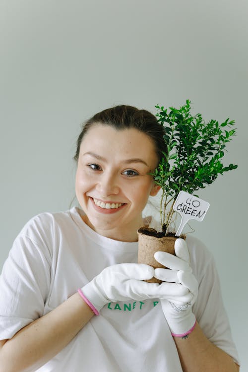 Saksıda Yeşil Bir Bitki Tutarken Beyaz Eldiven Giyen Bir Kadının Yakın çekimi