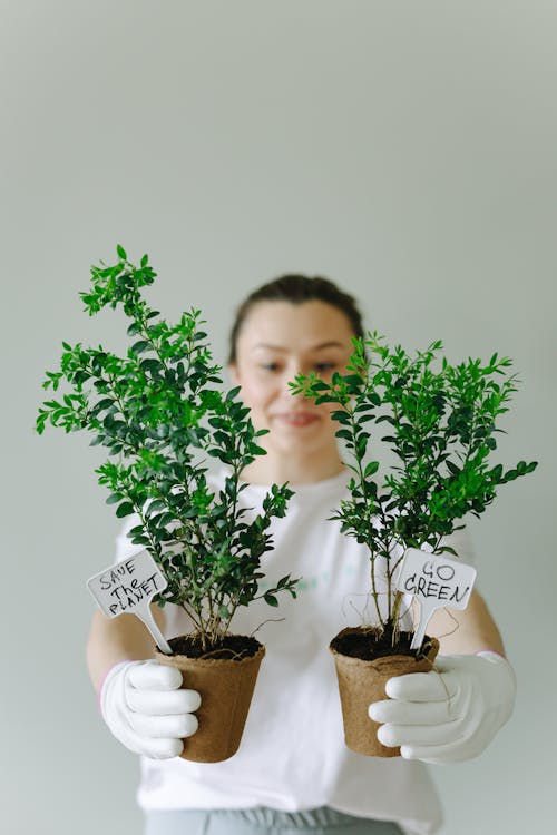 Close-Up Shot of a Woman Wearing White Gloves while Holding Two Potted Green Plants
