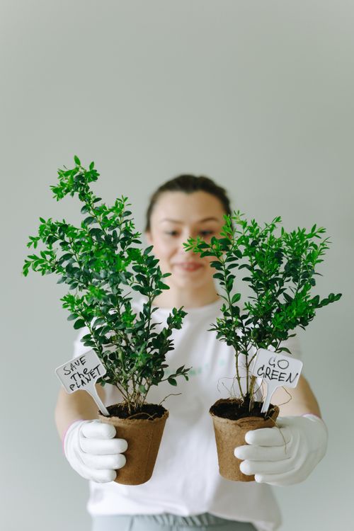 Free Smiling woman promoting green living by holding potted plants indoors. Stock Photo