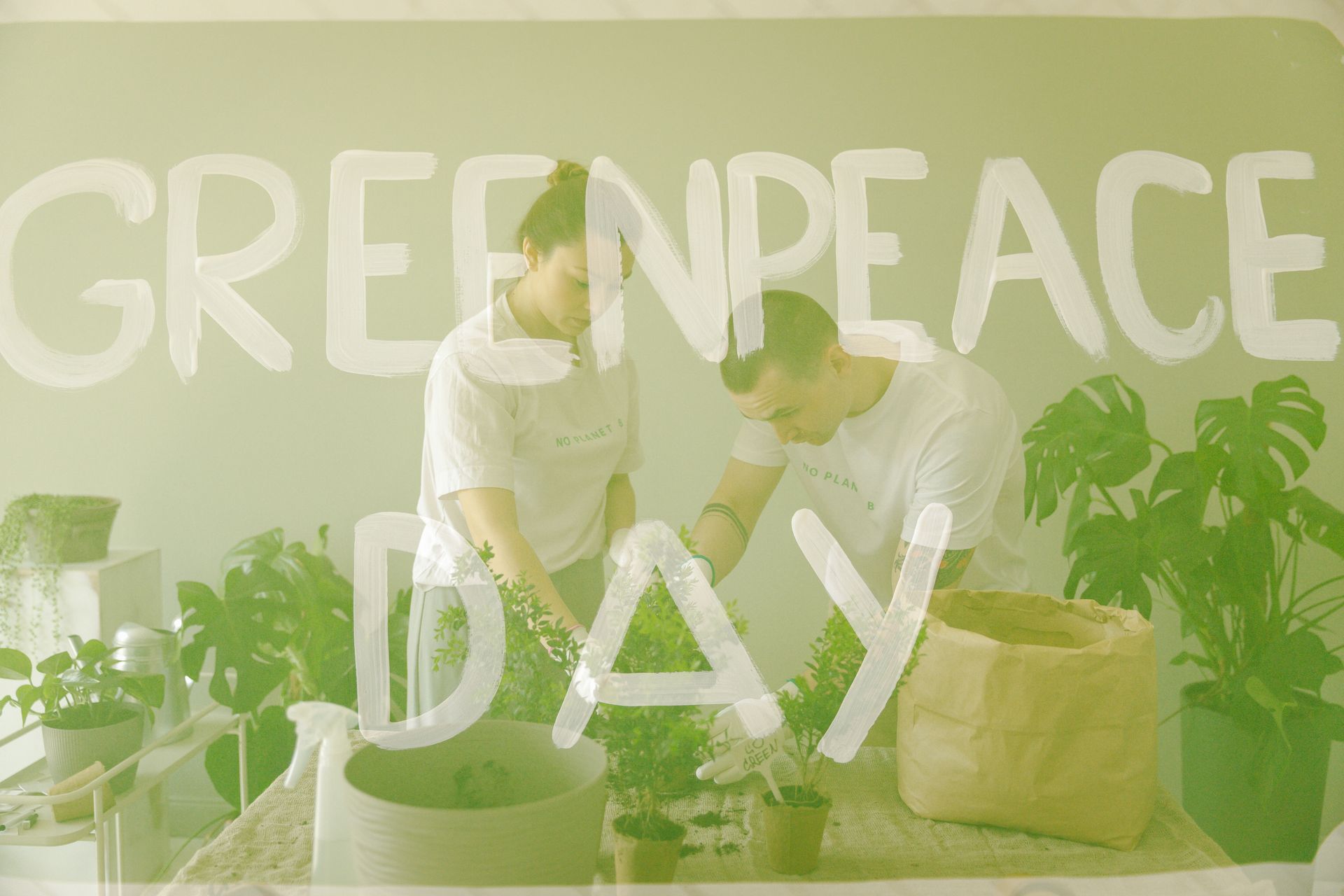 Volunteers planting indoors on Greenpeace Day, promoting eco-awareness.