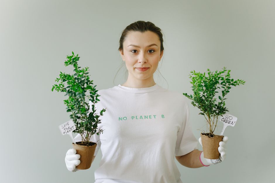 Cum să obții certificarea ISO 14001 pentru firma ta din Craiova: Ghid pas cu pas