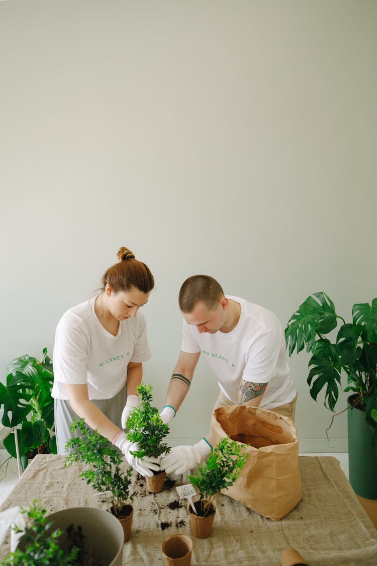 Man And Woman Holding Green Plant