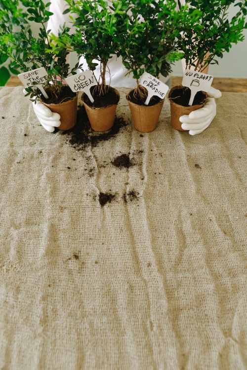 Free Gardener's hands in gloves holding potted plants with handwritten name tags on a rustic textile background. Stock Photo