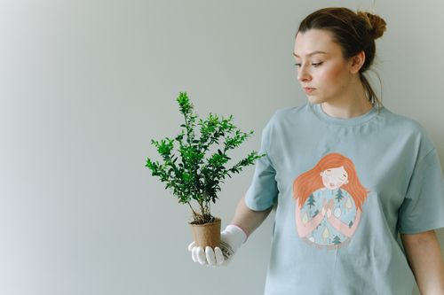 Free Young woman in a blue shirt holding a potted plant. Gardening and ecology concept. Stock Photo