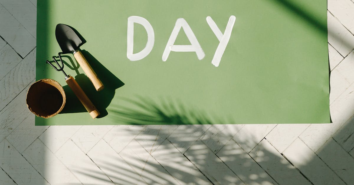 Transactional Campaign: Boost Your Sales with Strategic Marketing