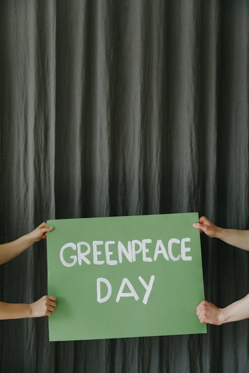 Fotos de stock gratuitas de banderola, de cerca, dia do greenpeace