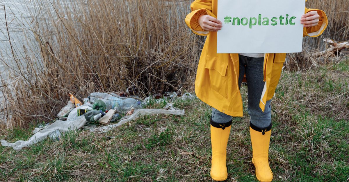 Quels impacts écologiques des annuaires papier et numériques