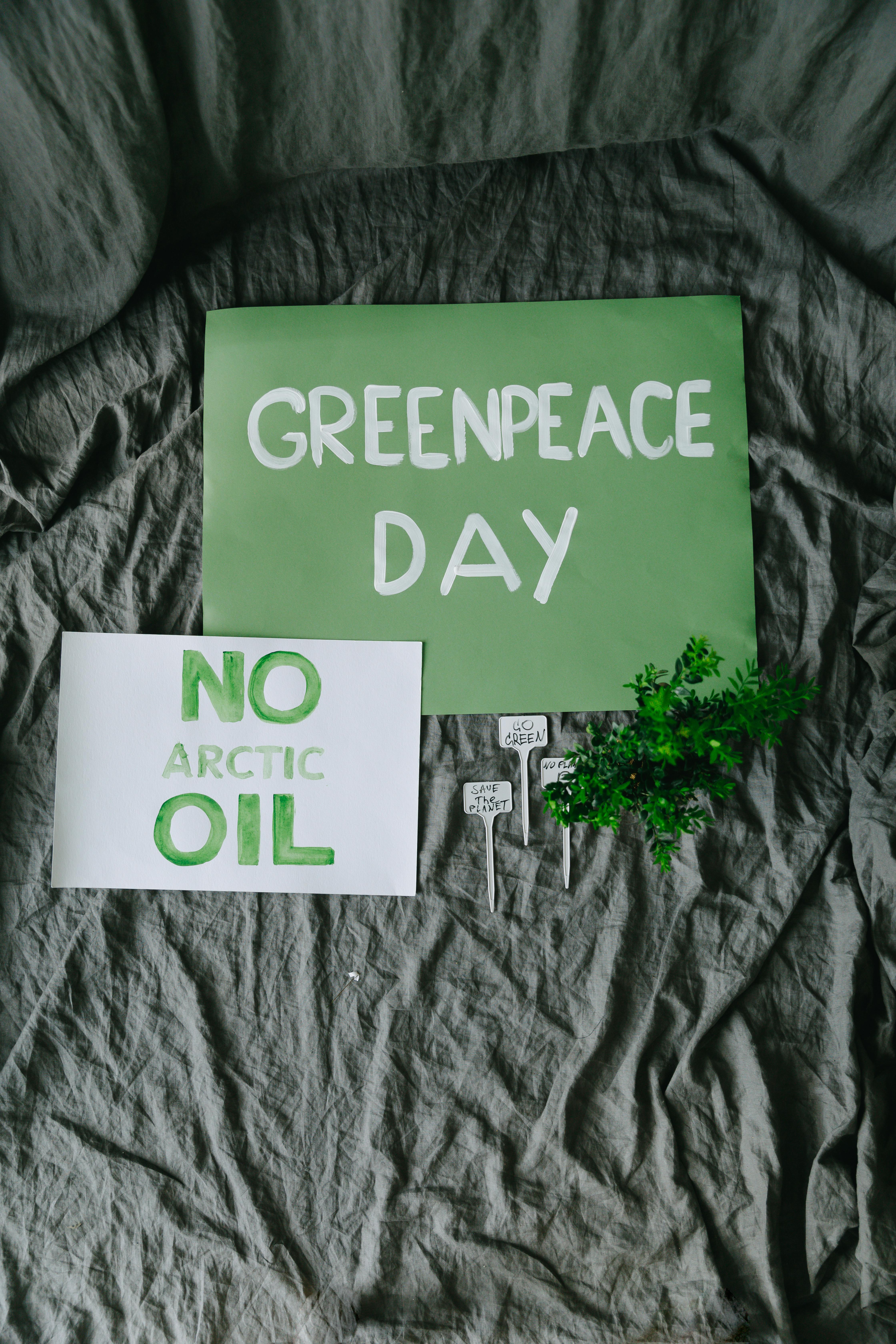 Environmental protest signs promoting Greenpeace and no Arctic oil.