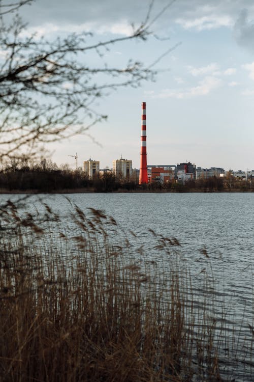 Základová fotografie zdarma na téma @ venku, bílá, dia biljettpris 绿色 和平