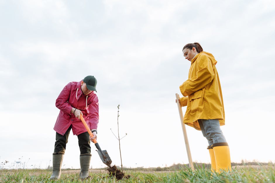 memorial tree planting with composted soil - what is human composting www.funeralcoolers.com memorial tree planting with composted soil - what is human composting www.funeralcoolers.com