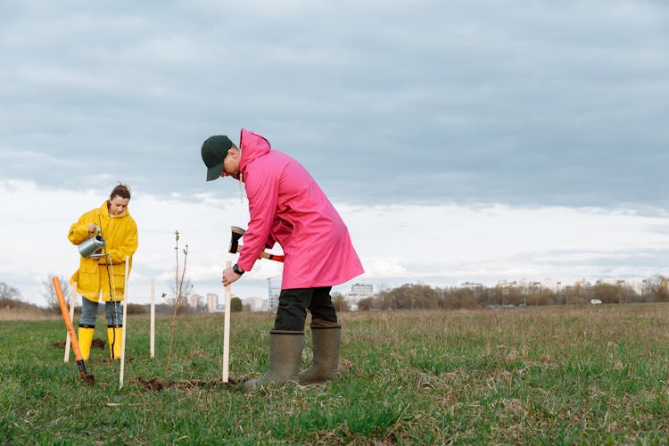 Volunteers On Tree Planting